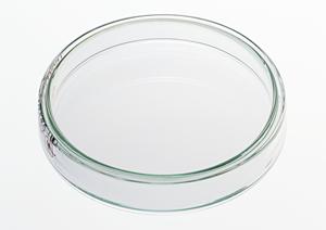 目黒で見つける！信頼できる循環器内科医を選ぶための完全ガイド