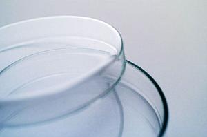 西宮市で評判の整形外科を徹底比較!2026年最新の選び方とおすすめ医院ガイド