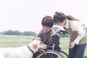 最新2026年版！リウマチ科の症状と効果的な対策法を徹底解説